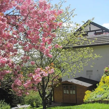 Hildegund Gæstehus Lauterbach (Baden-Wurttemberg)